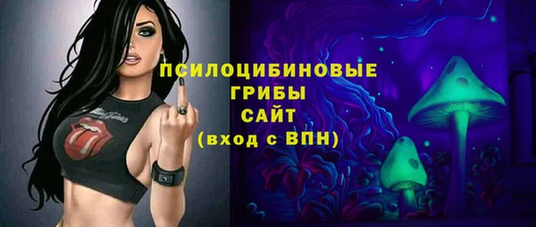 spice Алзамай